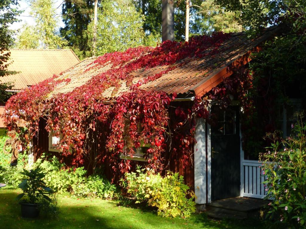 Praestmyrens Vandrarhem Ransäter Quarto foto